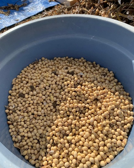 288361004_1501807476942569_8336464299592783965_n