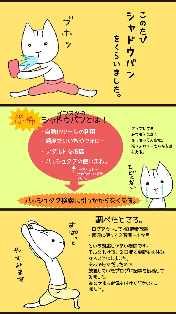 インスタがシャドウバンを食らった話 ヨガねこさん インスタがシャドウバンを食らった話 ヨガねこさん