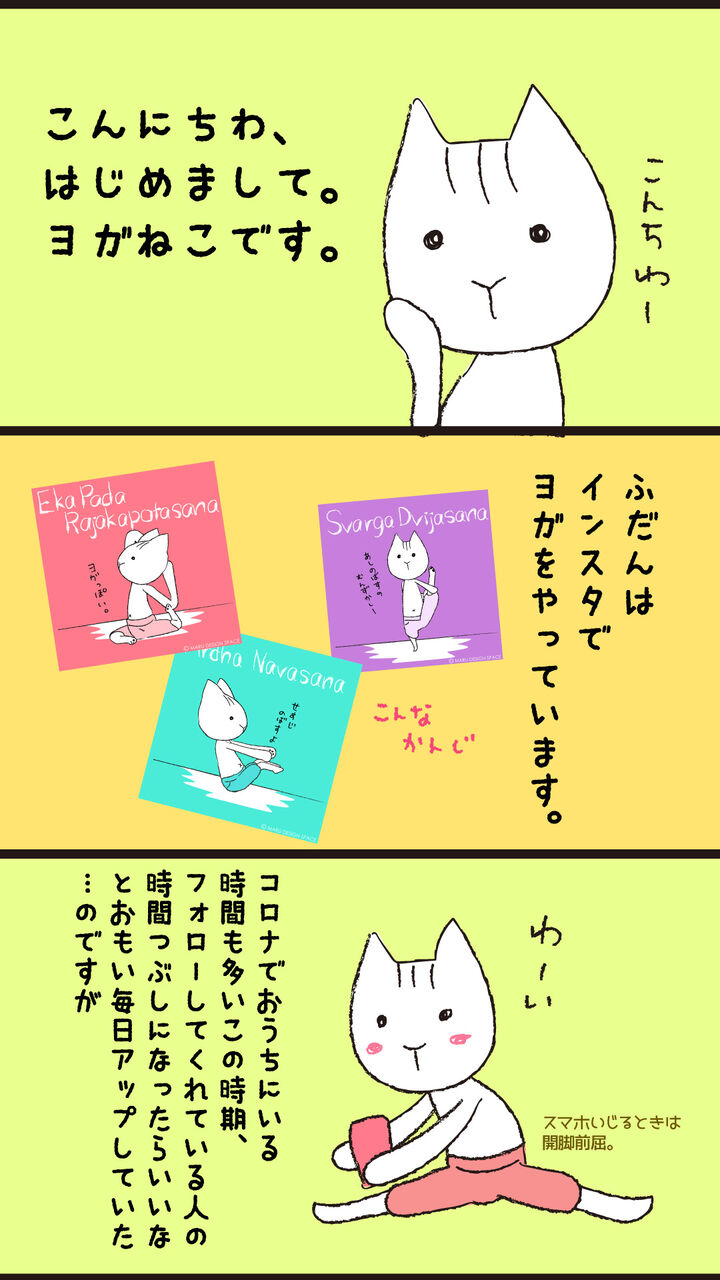 インスタがシャドウバンを食らった話 ヨガねこさん インスタがシャドウバンを食らった話 ヨガねこさん