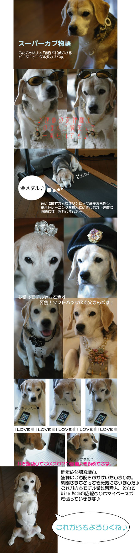イメージ 1