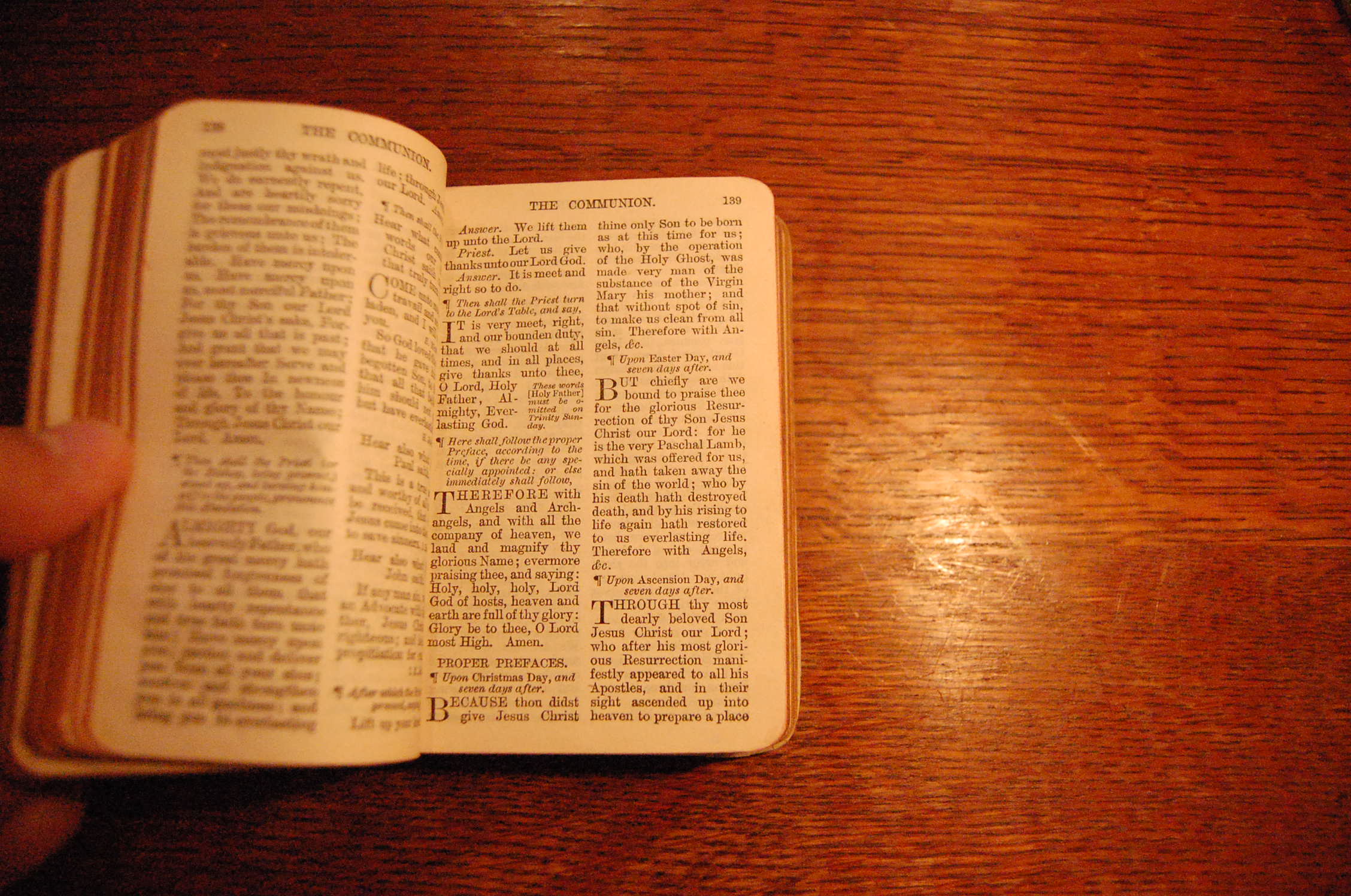 イギリスの教会の本 D O D O