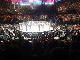 UFC3