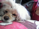 pinky relaxing