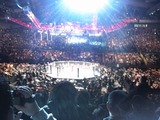 UFC4