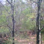 0405071