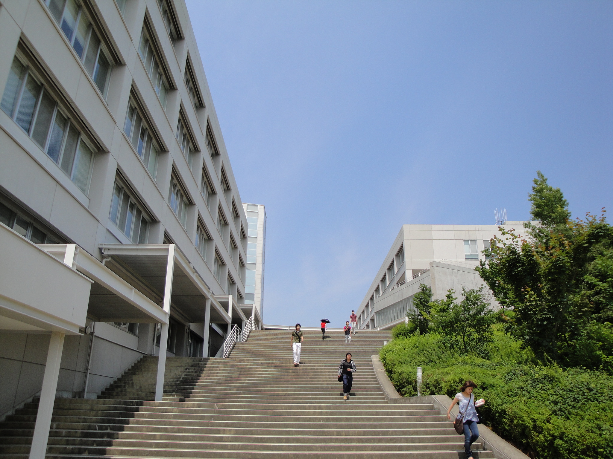 愛知県との再会 大の大人が笑って泣く 陽平ドットコム 試みの水平線