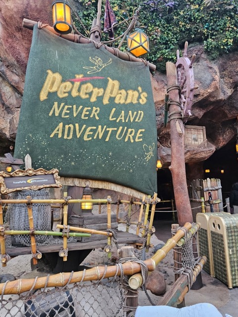 2938.海外ディズニークルーズラインピン アーティストチョイス