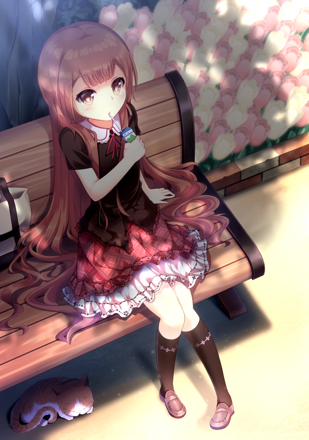 ゆるゆり 壁紙 画像01 15枚 2次元画像壁紙収集所 ゆるゆり 壁紙 画像01 15枚 2次元画像壁紙収集所