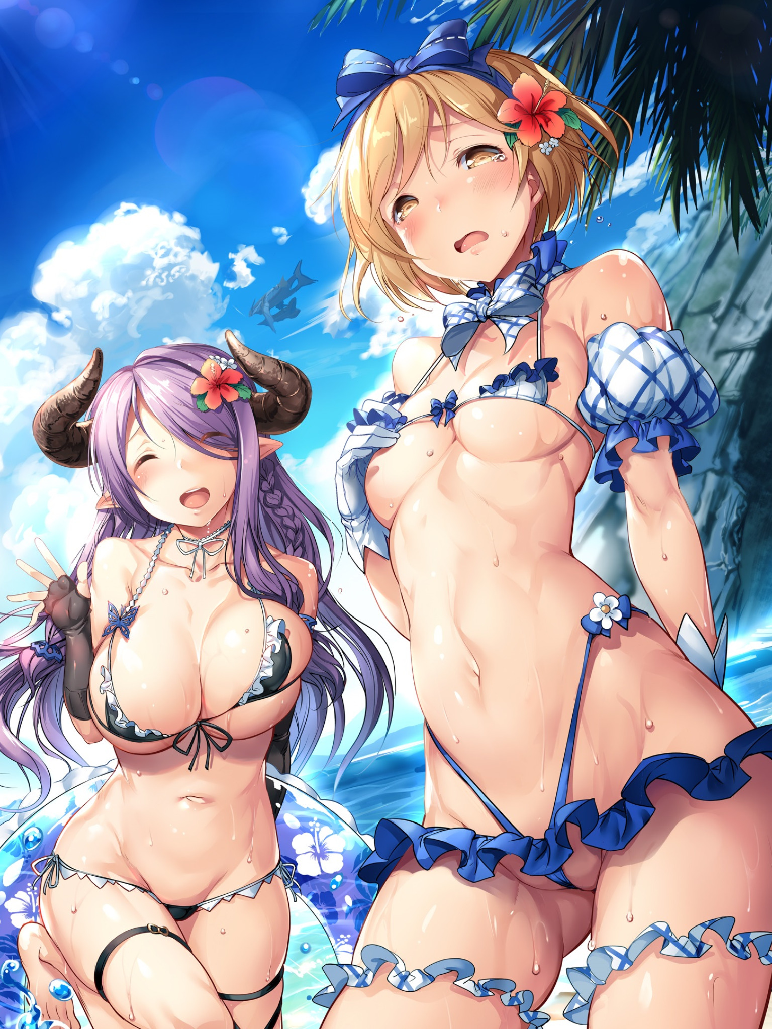 二次元 水着 無修正  グラブル】 ジータ＆ナルメア えっちぃ水着 壁紙 iphone7/6/5系 / ipad / android(WQHD) 【画像・壁紙】  (グランブルーファンタジー 24) : 2次元画像壁紙収集所