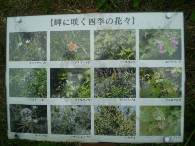 イメージ 15