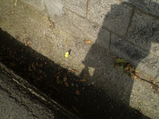 イメージ 23