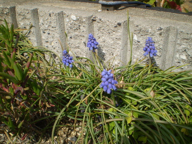イメージ 8