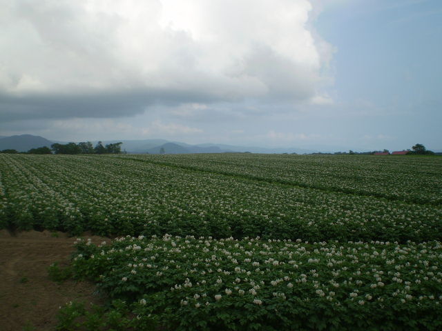 イメージ 15