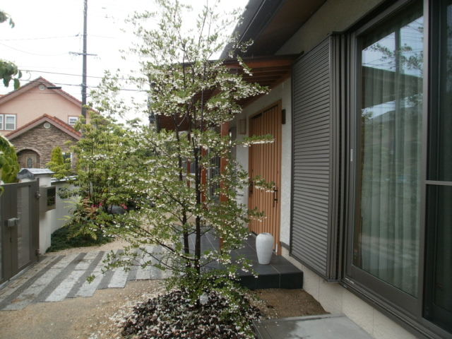 イメージ 4