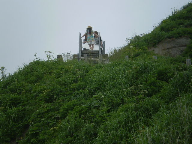 イメージ 11