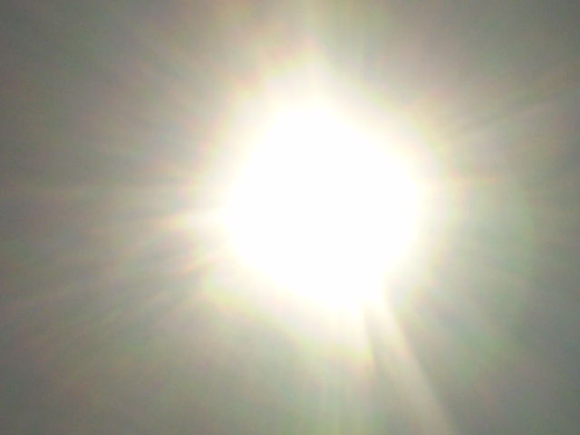 イメージ 10