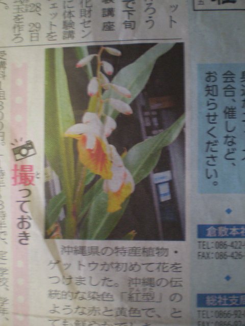 イメージ 7