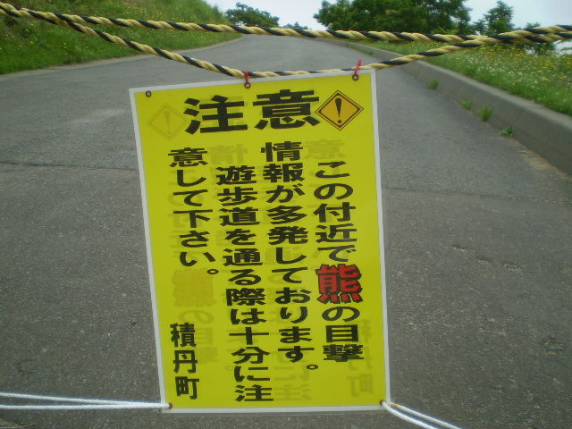イメージ 19
