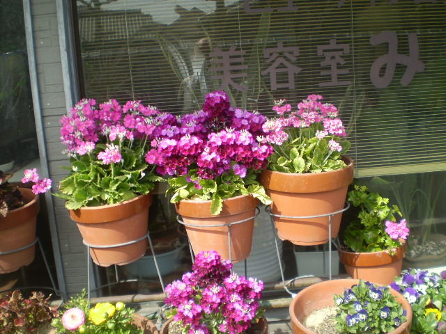 イメージ 15