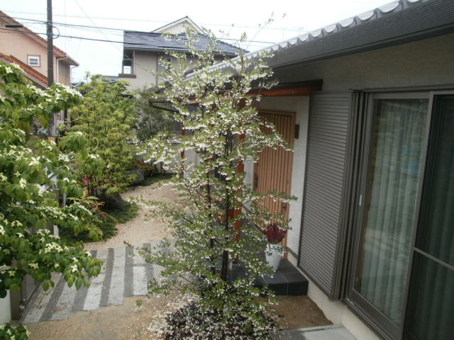 イメージ 10
