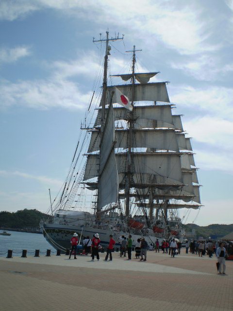 イメージ 8