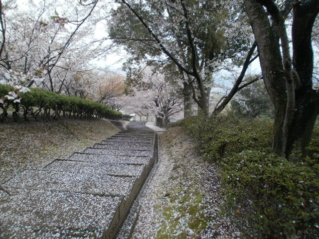 イメージ 14