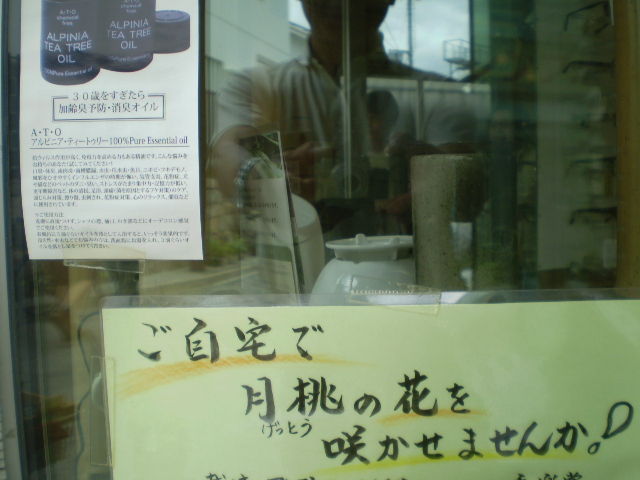 イメージ 6