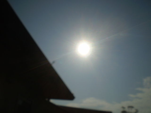 イメージ 9