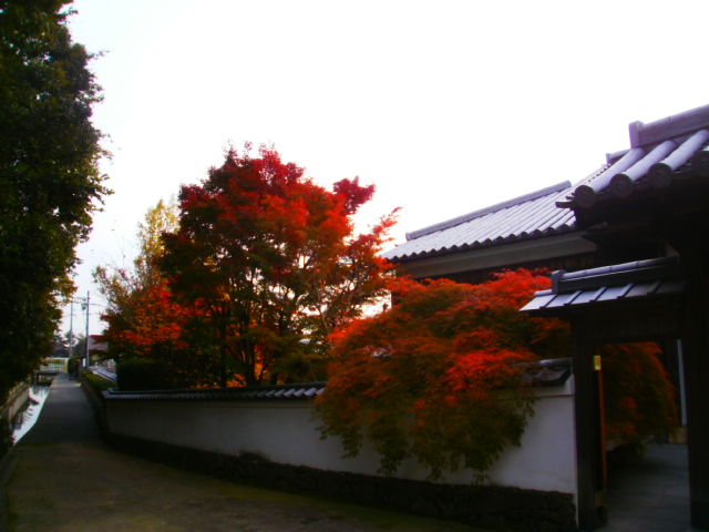 イメージ 8