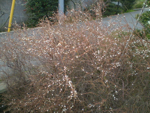 イメージ 4