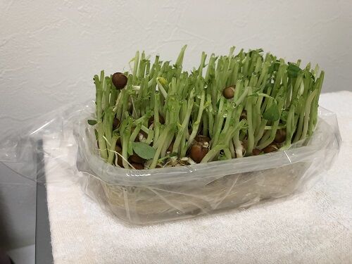20210513_photo_1
