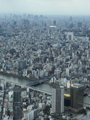 20200923_photo_3