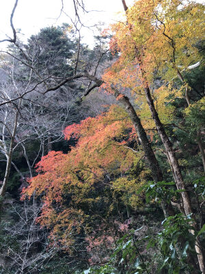 20201207_photo_4