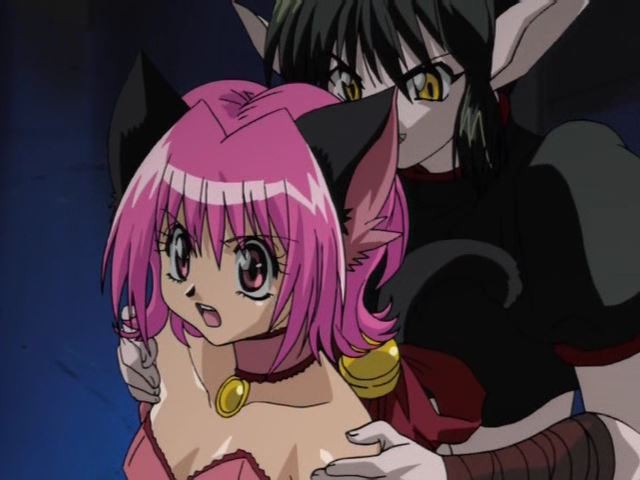 wmv_001122519