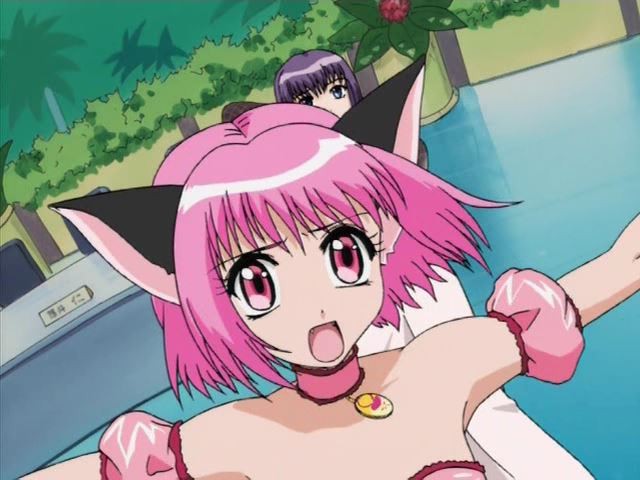 wmv_001002442