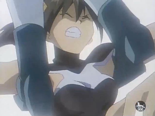 13 (36)