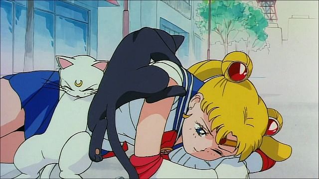 31