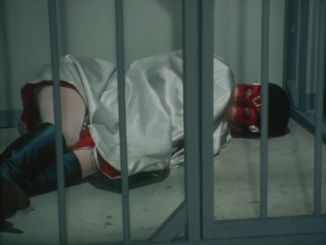 ポワトリンエロ