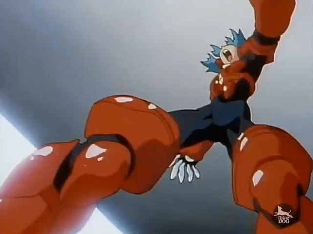 13 (14)