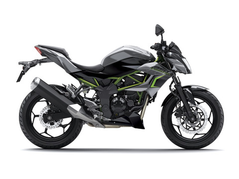 17_BR250F_GY1_RS