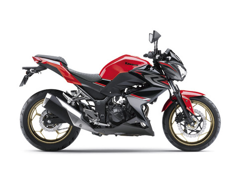 17_ER250D_RD1_RS
