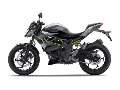 17_BR250F_GY1_LS