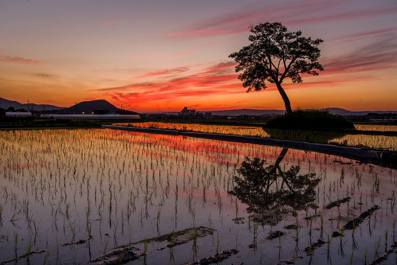 古宮土壇の夕景(6月) : 宵闇写真館・ブログ