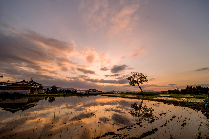 古宮土壇の夕景(6月) : 宵闇写真館・ブログ