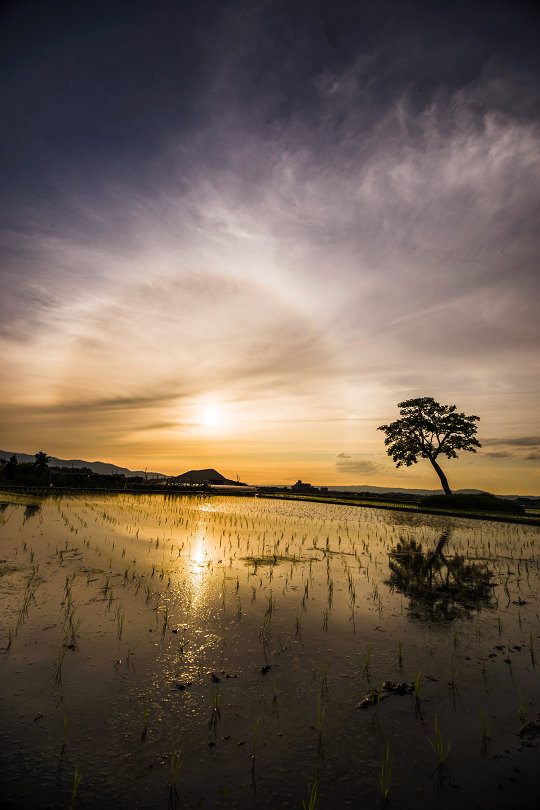 古宮土壇の夕景(6月) : 宵闇写真館・ブログ