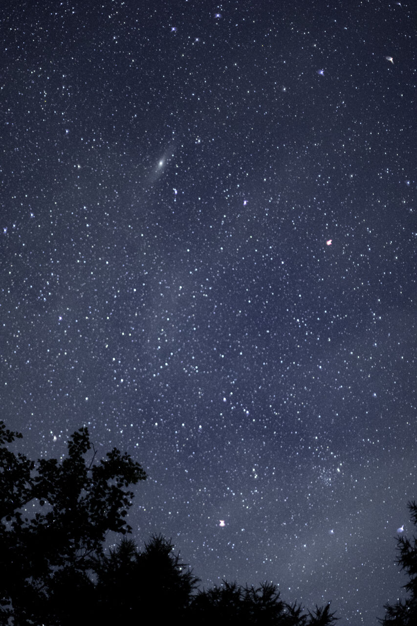 庭から見上げる星空 八ヶ岳南麓便り
