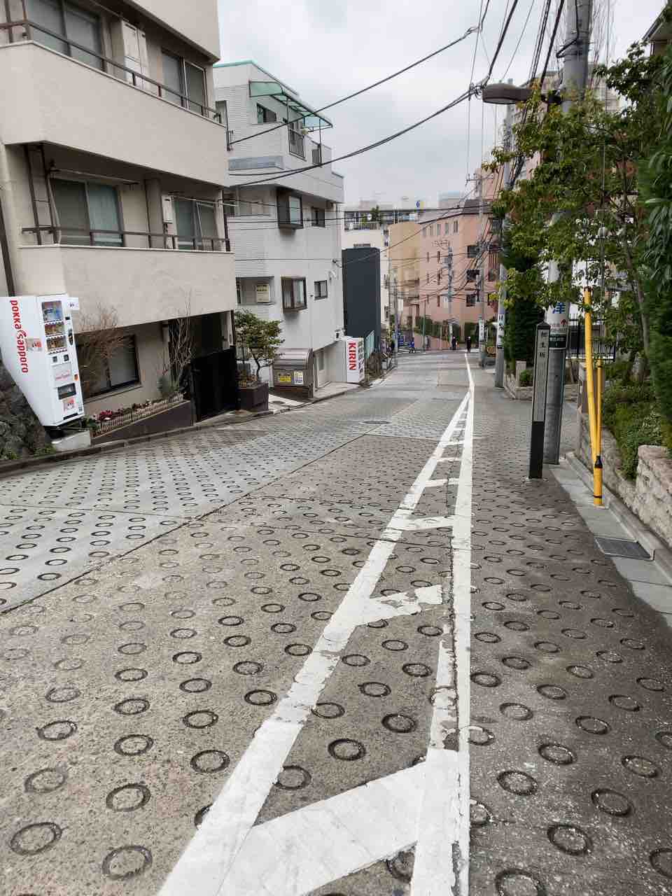 やっと買えた パン デ フィロゾフ の バトンシュクレ 徒然彩菜