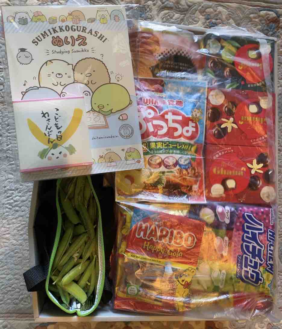 孫たちにコロナ見舞いを送る 徒然彩菜