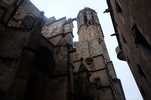 DSCF6888_512