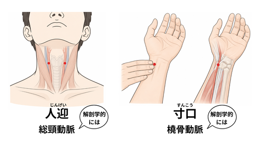 人迎と寸口